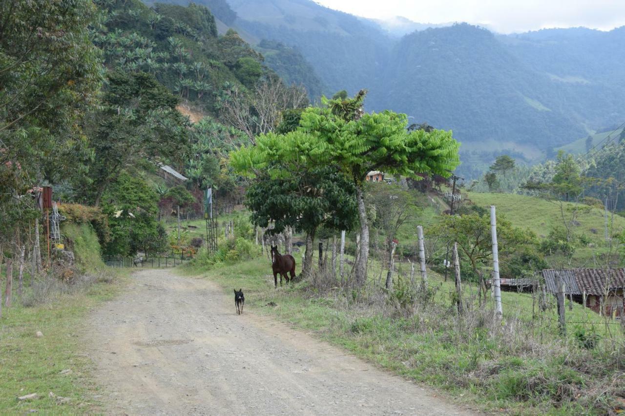 Creo Ecolodge Jardín Kültér fotó