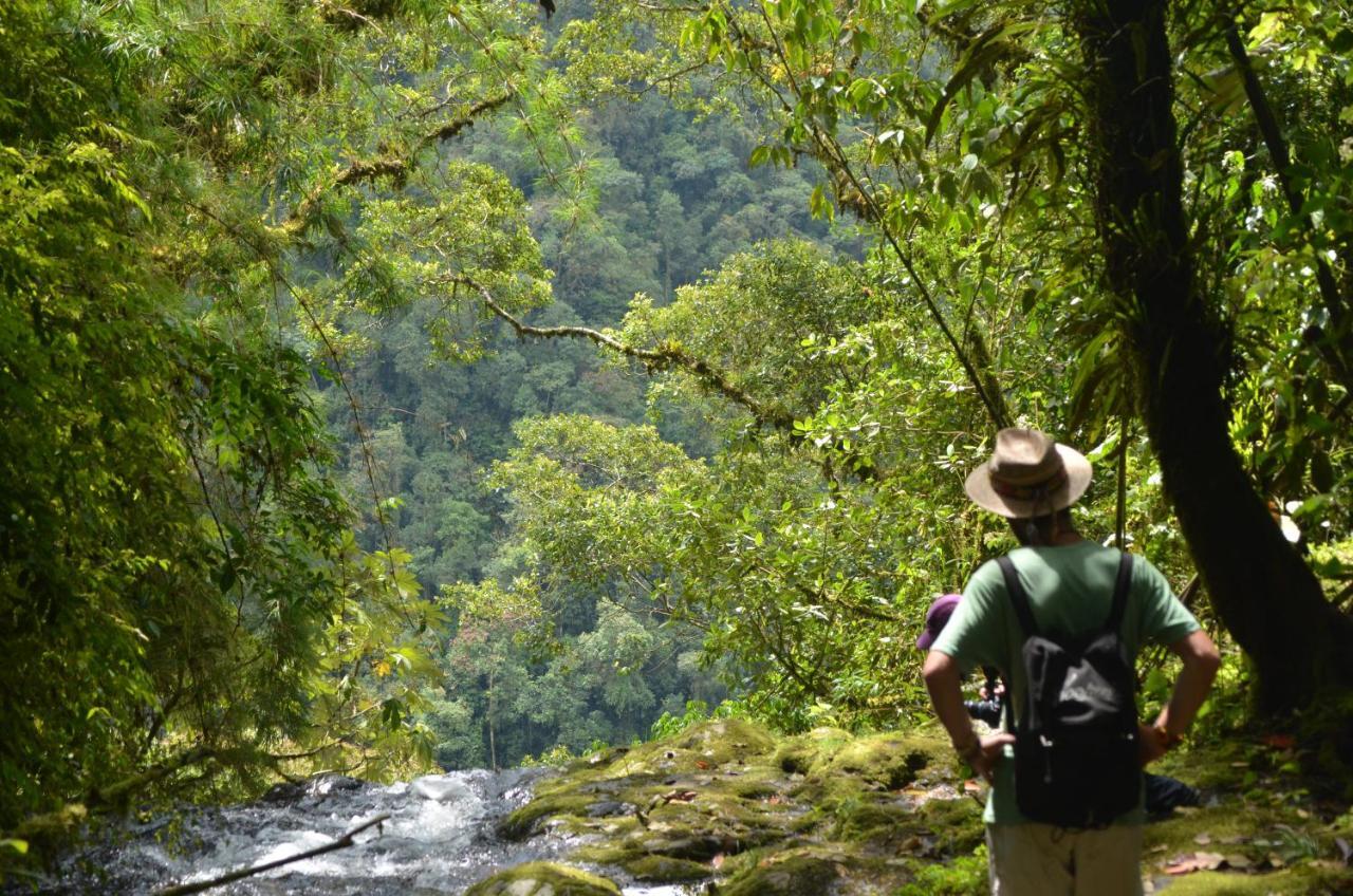 Creo Ecolodge Jardín Kültér fotó